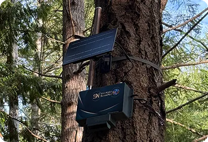 Sensor de gases SenseNet instalado en un árbol